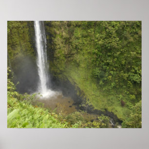 Pôster Quedas de Akaka, Costa de Hamakua, Ilha do Havaí,