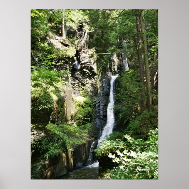 Pôster Quedas de Thread de Prata (Frente)