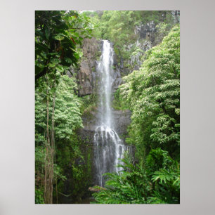 Pôster Quedas de Waimea, Hana, Maui, Havaí