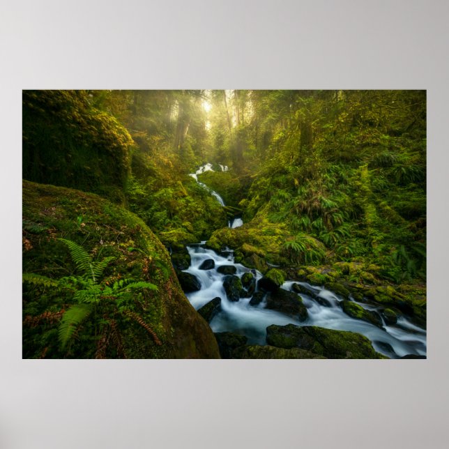 Poster Quedas | Parque Nacional da Olimpiadas, Washington (Frente)