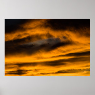 Poster queimada de águia