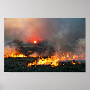Poster Queimadura da pradaria de Kansas no por do sol