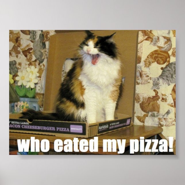 Poster quem comeu minha pizza? Meme Gato Engraçado (Frente)