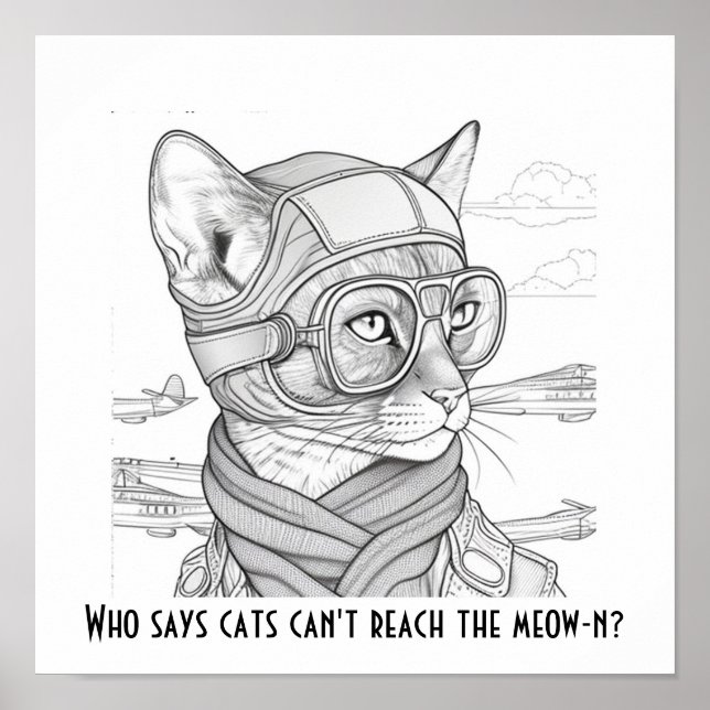 Poster Quem disse que os gatos não conseguem alcançar o m (Frente)