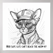 Quem disse que os gatos não conseguem alcançar o m