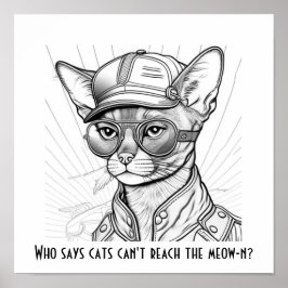 Poster Quem disse que os gatos não conseguem alcançar o m