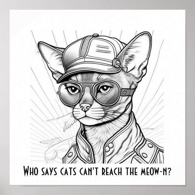 Poster Quem disse que os gatos não conseguem alcançar o m (Frente)