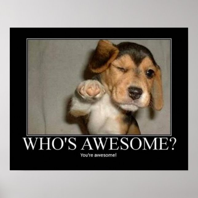 Poster Quem é Awsome? (Frente)