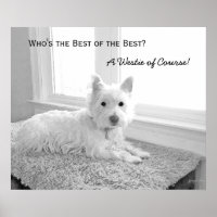Quem é o Melhor dos Melhores? Um Westie, é claro!