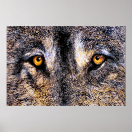 Pôster Quem está assistindo