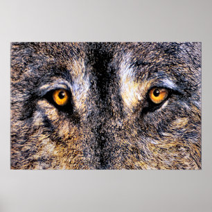 Pôster Quem está assistindo