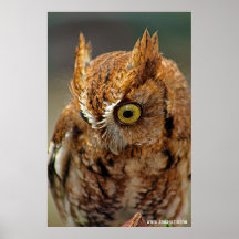 Quem está olhando para baixo