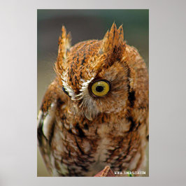 Poster Quem está olhando para baixo