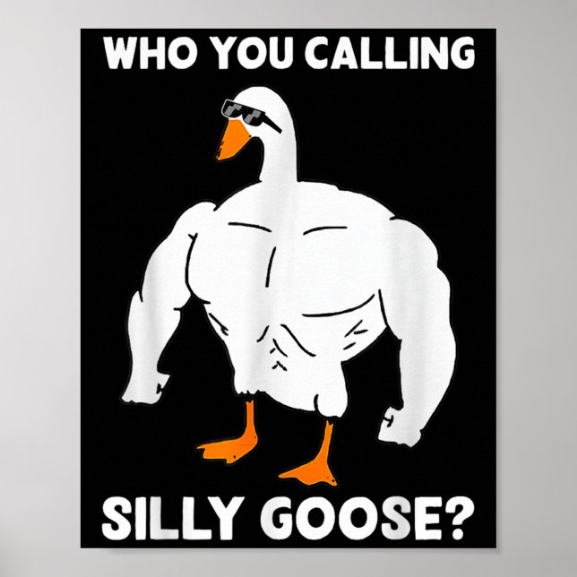Poster Quem Você Está Chamando de Ganso Bobo Meme Diverti (Frente)