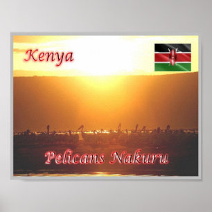 Poster Quênia - Pelicanos Nakuru -