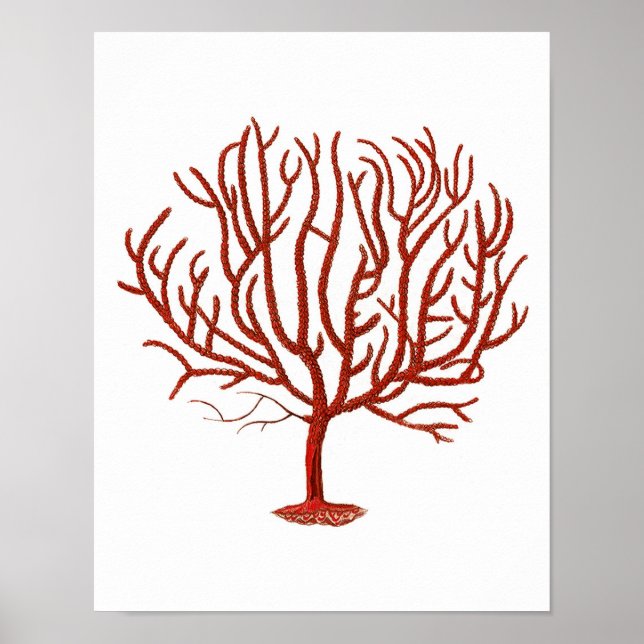 Pôster Quente Red Sea Coral n.º 4 Beach Wall Art Impressã (Frente)