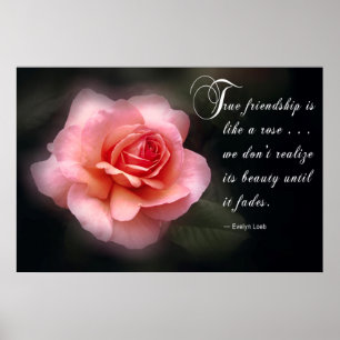 POSTER QUERIDA AMIGA