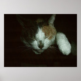 Poster Querido Dormindo em uma Árvore de Gatos