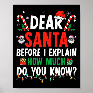 Poster Querido Papai Noel Posso Explicar Natal Divertido 