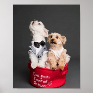 POSTER QUERIDOS PAPAIS NOEIS, QUERO TODOS OS OSSOS