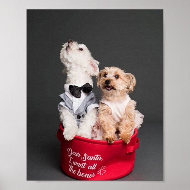 POSTER QUERIDOS PAPAIS NOEIS, QUERO TODOS OS OSSOS (Frente)