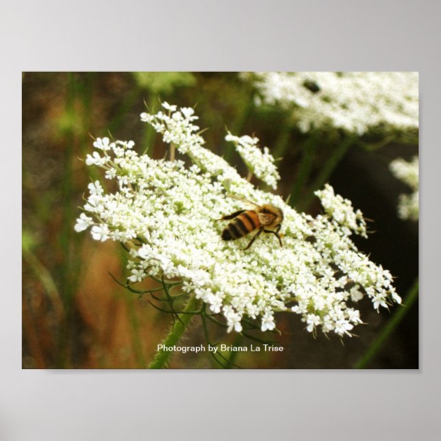 Pôster Química (Frente)