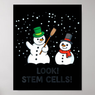 Poster Química Divertida Natal Olhar Professor de Ciência