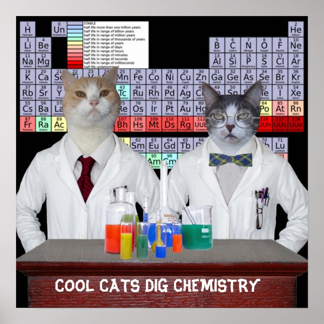 Pôster Química legal do Cats Dig (Frente)