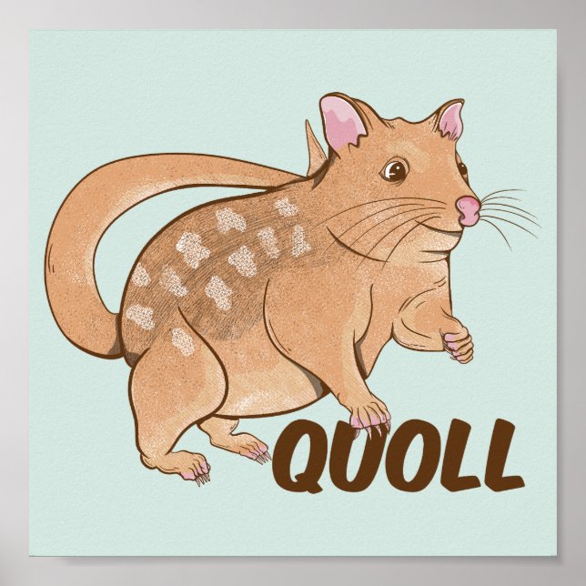 Poster Quoll Marsupial Australiano (Frente)