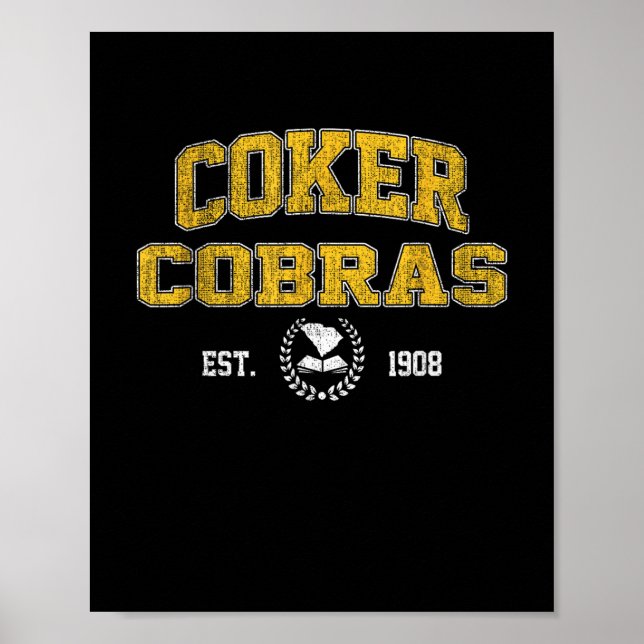 Poster R College Cobras Arch Retro Para Homens Mulheres (Frente)