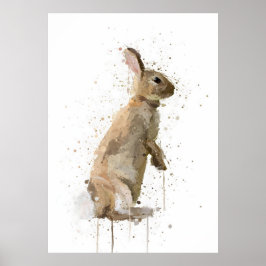 Poster Rabbit