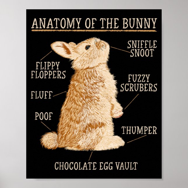 Poster Rabbit Anatomy Bunny Lover Animal Pet Owner  (Frente)