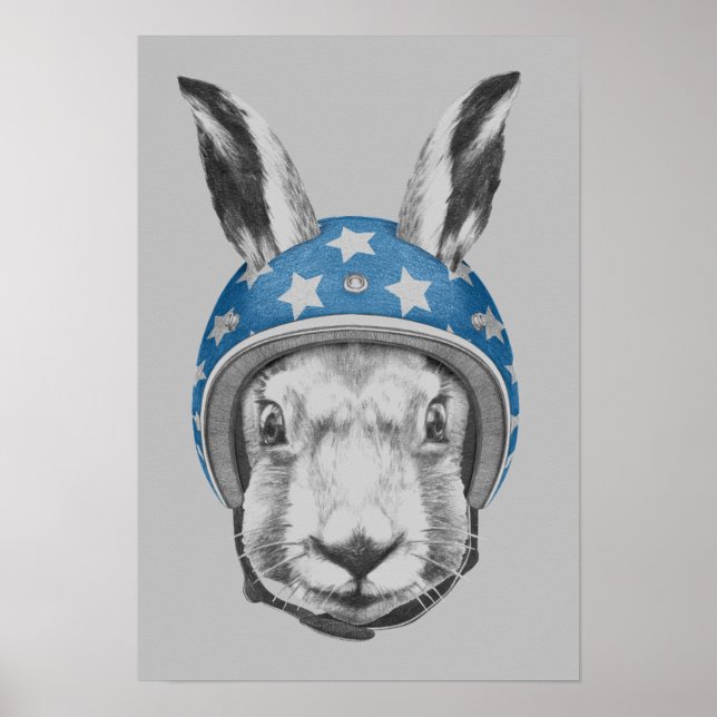 Poster Rabbit Daredevil (Frente)