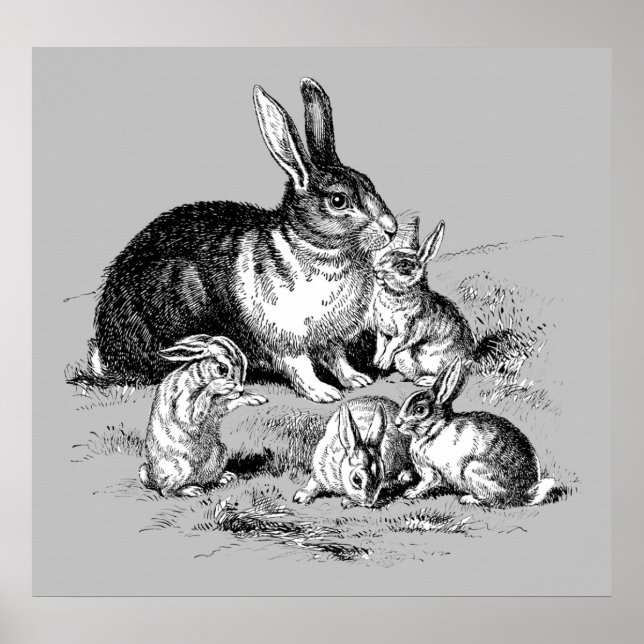 Poster Rabbit Family - Archival Print (Frente)