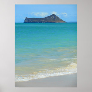 Pôster Rabbit Island