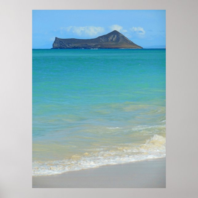 Pôster Rabbit Island (Frente)