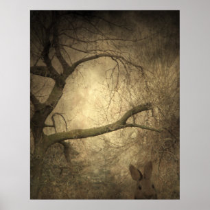 Pôster Rabbit Woods
