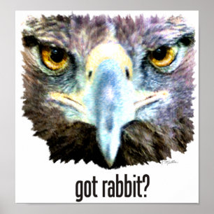 Pôster Rabbitr obtido?