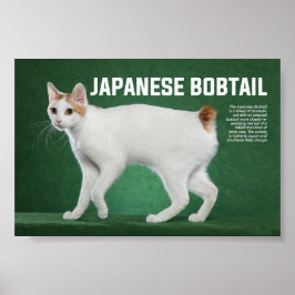 Poster Raça Bobtail Japonesa