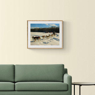 Poster Raça de cão de trenó da fuga de Iditarod