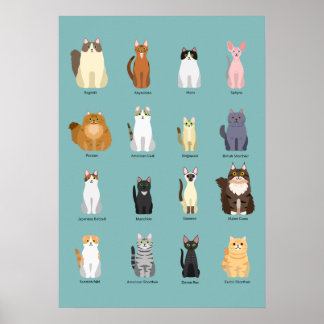 Poster raças de gatos, vários gatos,arte de gatos