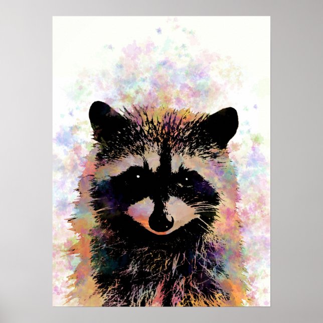 Poster Raccoon 27 (Frente)
