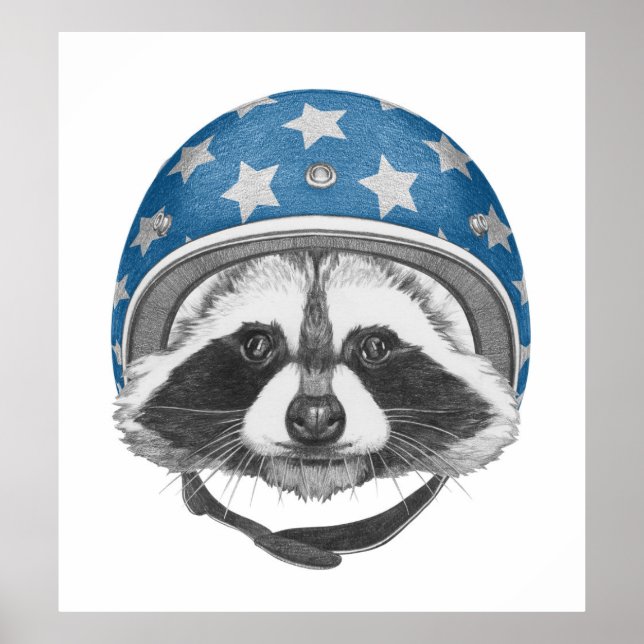 Poster Raccoon Daredevil (Frente)