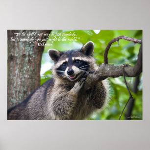 Poster Raccoon e Encorajamento