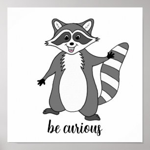 poster Raccoon "Seja curioso"