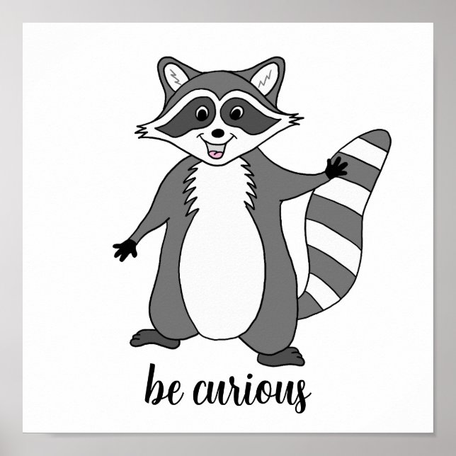poster Raccoon "Seja curioso" (Frente)