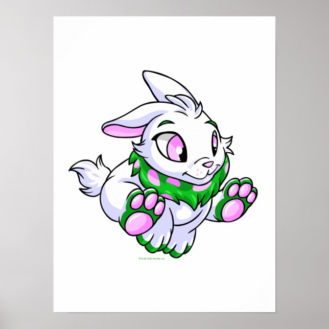 Poster Racing green Cybunny (Frente)
