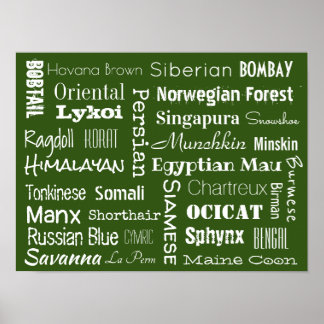 Poster Rações de Gatos