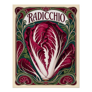 Pôster Radicchio Vintage Estilo Art Nouveau Arte de Cozin