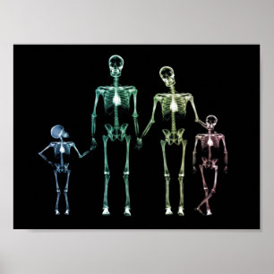Pôster Radiografe minha família